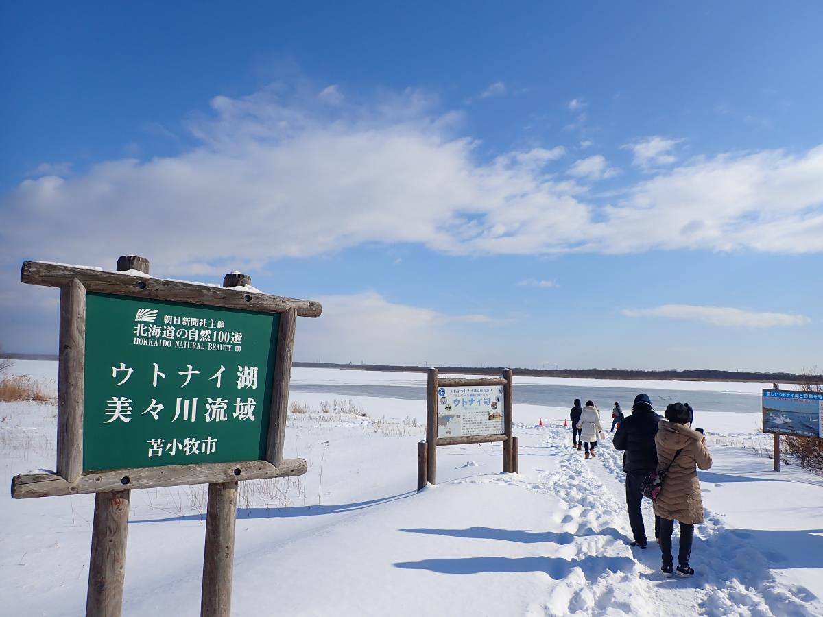 北海道遠征ツアー　積丹　帰りにウトナイ湖へ